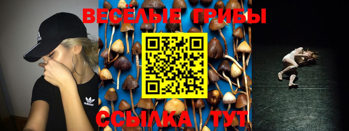 Галлюциногенные грибы MAGIC MUSHROOMS Черногорск